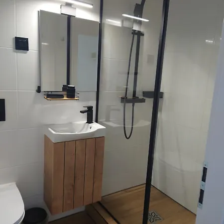Hotel Central מלון Český Těšín