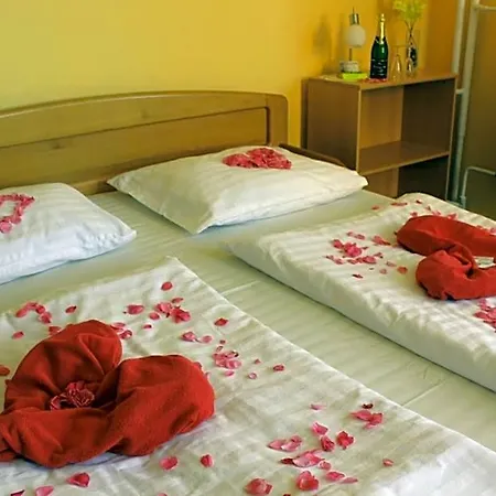 Hotel Central 3* Český Těšín